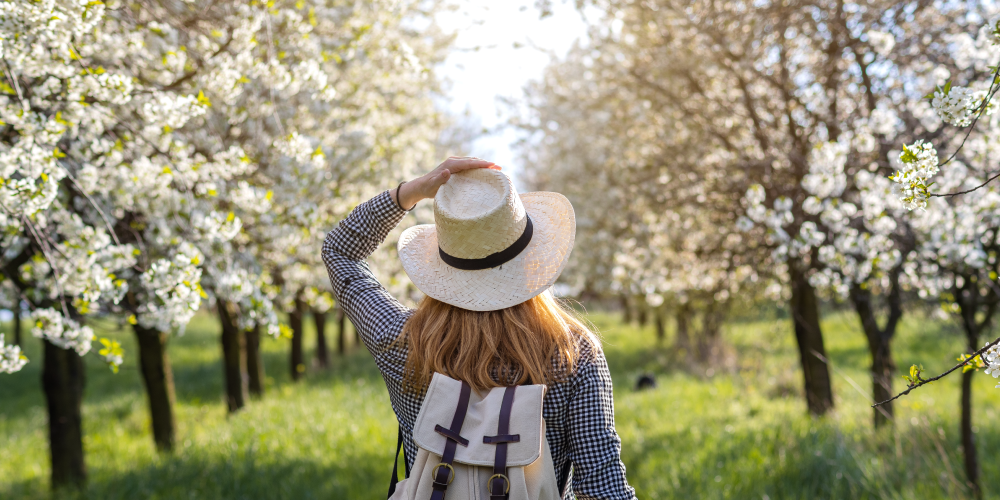 Spring Cleaning Finances